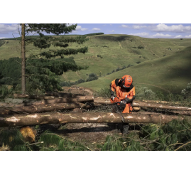 Slika: HUSQVARNA 565