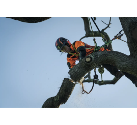 Slika: HUSQVARNA T540i XP® bez baterije i punjača