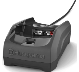 Slika: Punjač C80 BLi-X